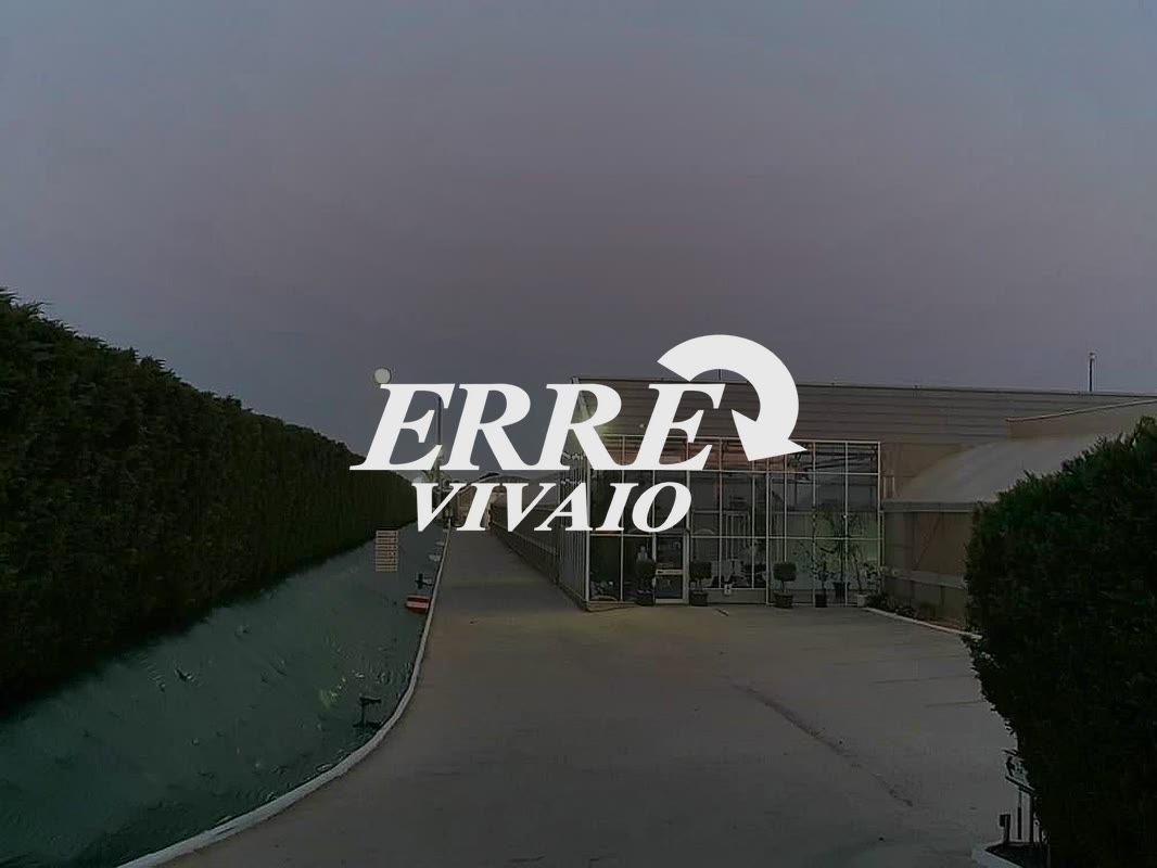 Erre Vivaio