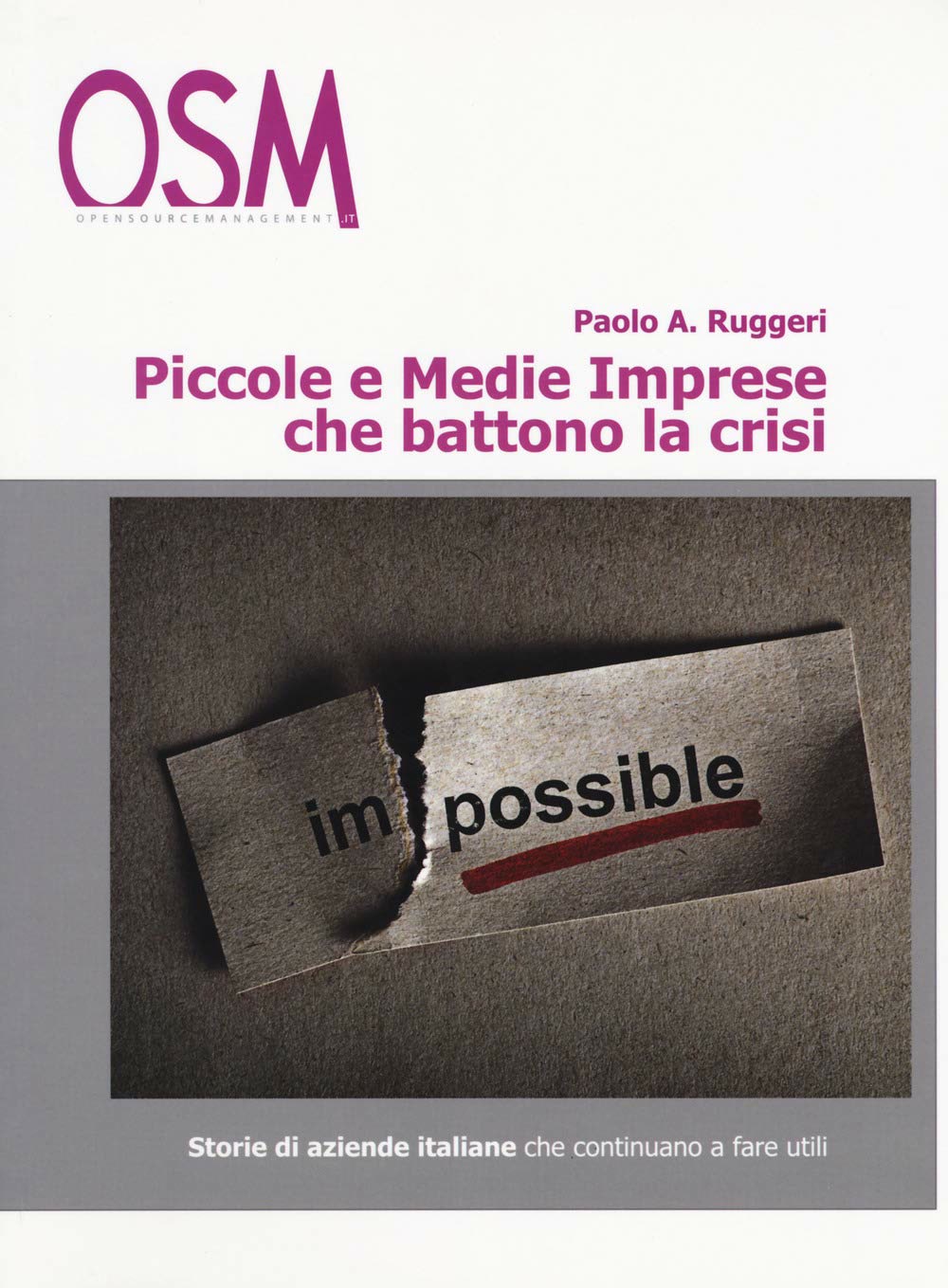 Copertina di Piccole e medie imprese che battono la crisi, di Paolo A. Ruggeri